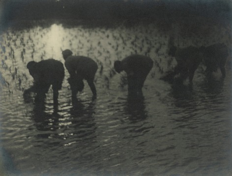 Soft focus black and white photo of men working with fishing net in water&mdash;seen from behind.
