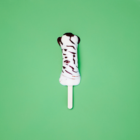 Color photo of a popsicle melting on a green background.
