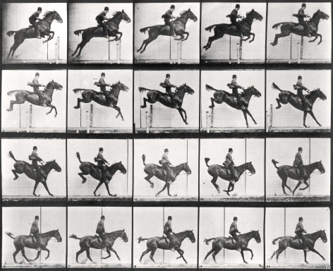 Sequence of black and white images showing movements of a trotting and jumping horse and a rider wearing a suit and hat.