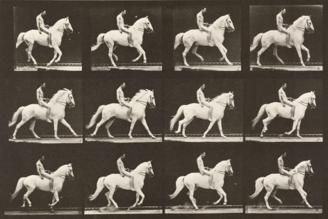 Sequence of black and white photos showing the movements of a man riding a horse bareback