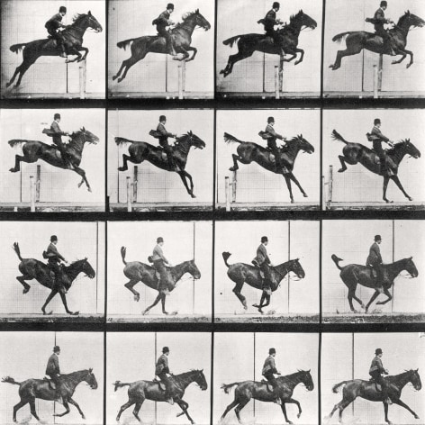 Sequence of black and white images showing the movements of a horse and rider jumping a hurdle.