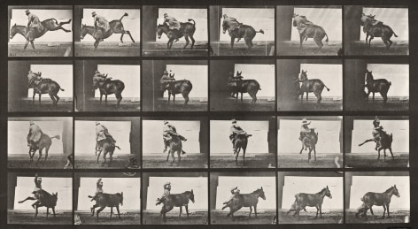 Sequence of black and white photos showing the movements of a man trying to ride a mule