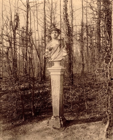 Warm toned black and white image of a classical statue bust, standing in a wooded grove.