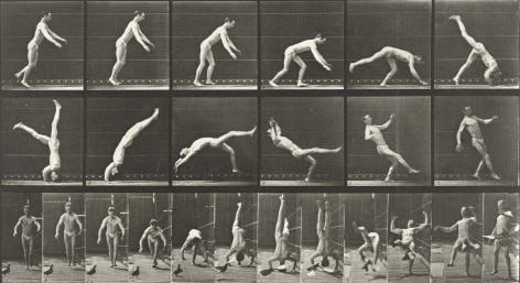 Sequence of black and white photos showing a man executing a headspring that is interrupted by a pigeon.