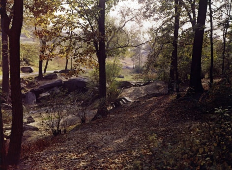 Evelyn Hofer Central Park, 1965