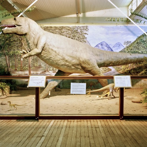 Color photo of a dinosaur diorama with a T-Rex.
