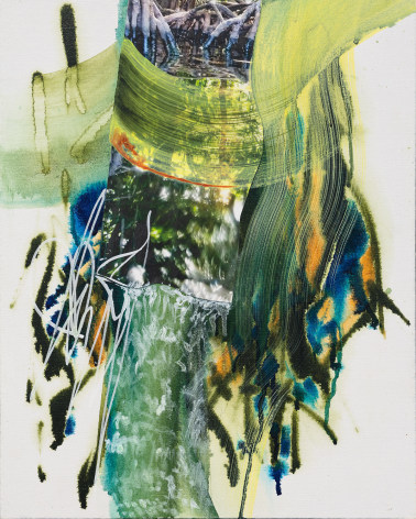 Photograph of vegetation collaged onto an abstract painting.