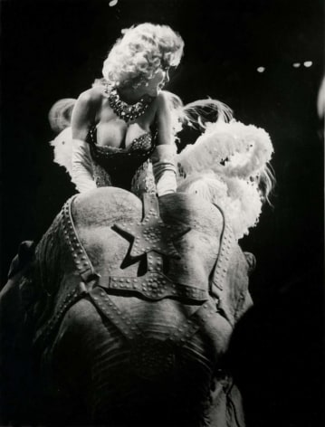 Black and white photo of Marilyn Monroe riding a circus elephant.