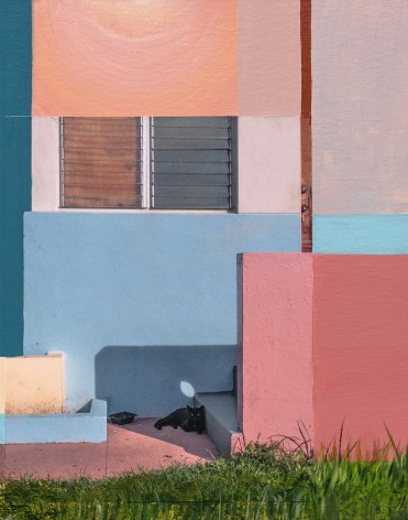 Collaged photo with painting around it showing a black cat laying in a shadow outside a coral colored building.