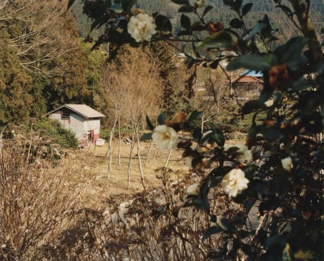 Color photo showing a country house in the background, and flowering plants in the foreground.