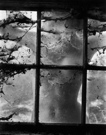 Nude behind Cobwebbed Window,&nbsp;1955
