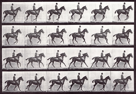Sequence of black and white photos showing a cantering horse and rider