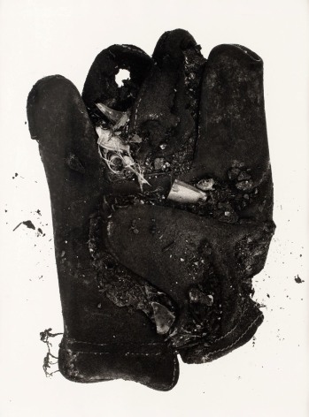 Irving Penn Feather Glove, 1975