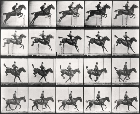 Sequence of black and white photos showing a horse with rider leaping a hurdle