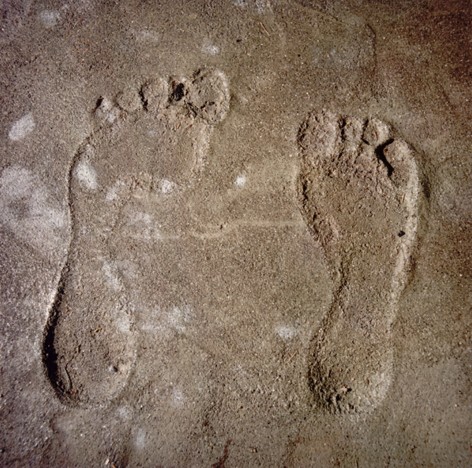 David Graham Feet, Placentia Island, ME, 1995-96