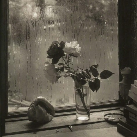 Black and white photo of three roses in a glass of water in front of a condensation streaked window.