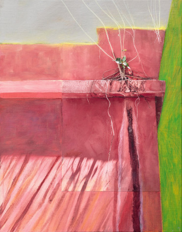 Color overpainted photograph of a small plant that is rooted precariously on a pink wall.