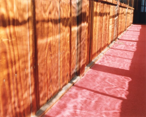 Color photo of sunbeams cast on a pink rug and wooden wall.