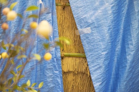 Color photo of a Lue tarp partially covering a bamboo fence that it is taped to.