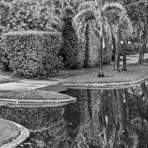 Black and white photo of a flooded street in Florida, with water up to curb and palm trees along the sidewalk.