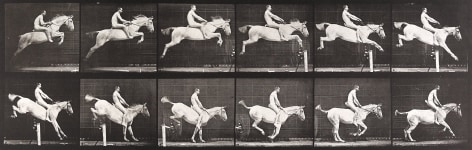 Sequence of black and white photos showing a horse with a nude rider jumping