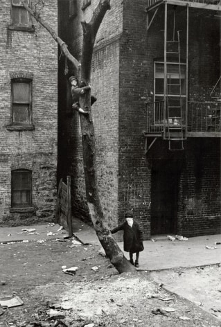 Old black and white photo of two kids in masks playing in a city lot, one is up a tree, the other leans on the tree, both look a the camera.