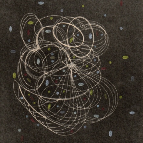 Curvilenar abstract line drawing on a black background iwth ovoid colored shaped in the background.