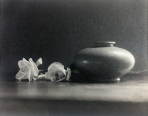 Black and white still life image: Vase with Two Roses