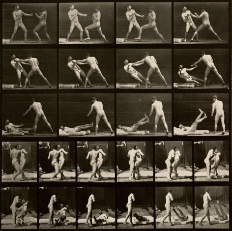 SEries of black and white photographs showing the movements of two boxers&mdash;one knocks the other down.