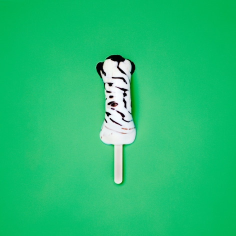 Colorful photo of a melting popsicle on a solid green background.