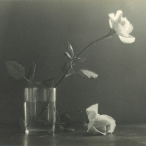 Black and white photograph of two white roses, one is in a glass.