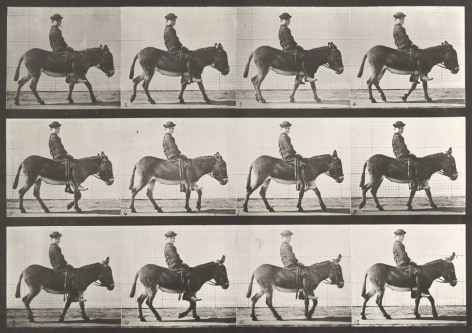 Sequence of black and white photos showing the movements of a young boy riding a donkey