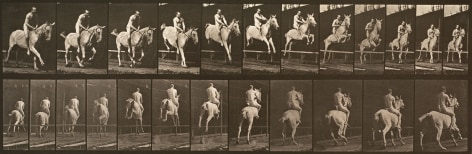 Sequence of black and white photos showing the movements of a  horse and rider jumping a hurdle