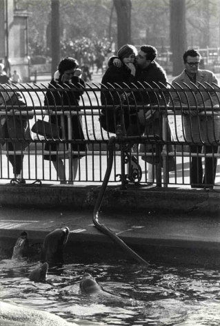 Garry Winogrand Central Park Zoo (couple and seals), c. 1963 (pr 1970s)