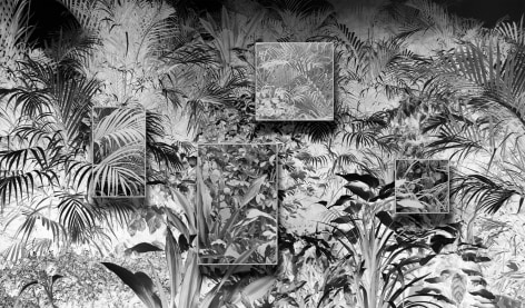 Ji_Zhou_Plants_Covered_in_Dust_Wallpaper_archival_pigment_prints_wooden_frames_353x602cm_2017