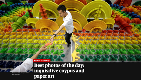 The Guardian | Best photos of the day: inquisitive coypus and paper art