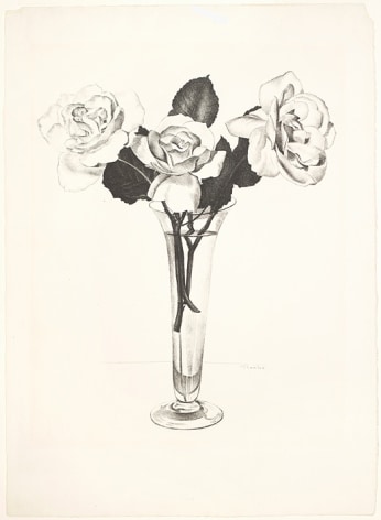 Charles Sheeler,&nbsp;Roses, 1924.