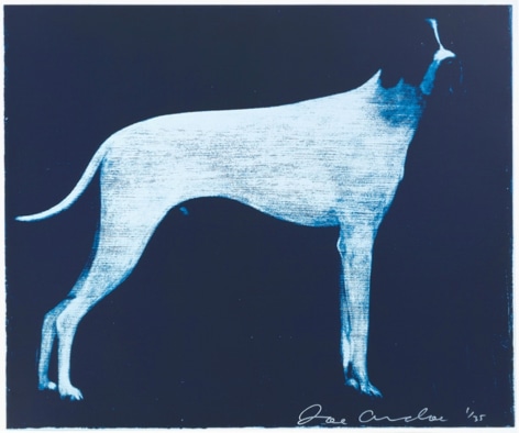 ANDOE-Joe_Large Dog (Midnight Blue)_10-color silkscreen_40x48 inches