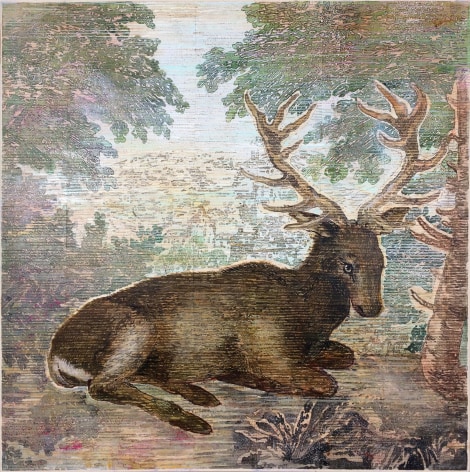 Durer's+Deer,+2018