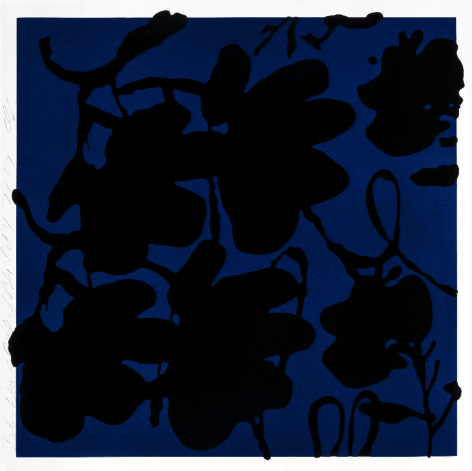 SULTAN-Donald_Lantern Flowers, Black and Blue, Oct 4, 2017_silkscreen with enamel inks and flocking on 4-ply museum board_58x58_ed30