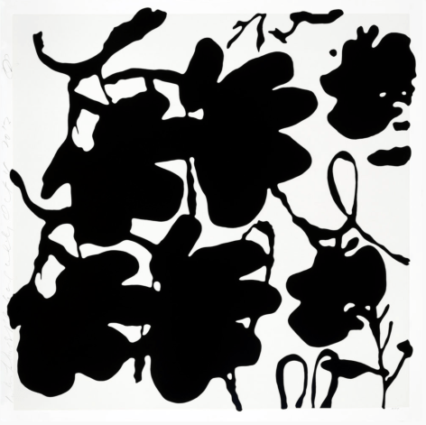 SULTAN-Donald_Lantern Flowers, Black and White, Oct 4, 2017_silkscreen with enamel inks and flocking on 4-ply museum board_58x58_ed30