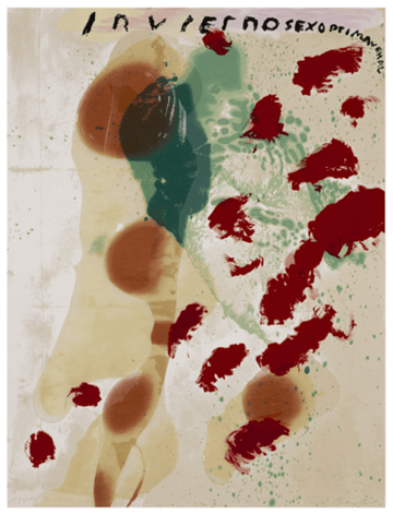 SCHNABEL-Julian_Inviernosexoprimaveral_17-color silkscreen with poured resin_40x30 inches