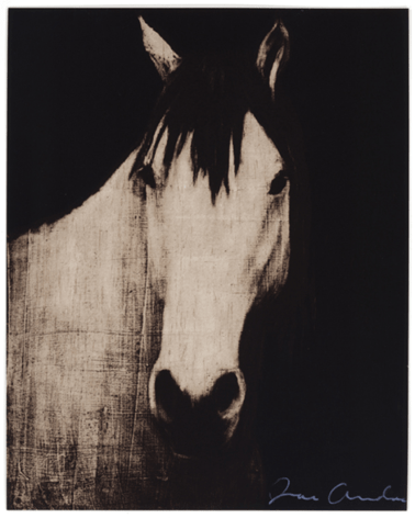 ANDOE-Joe_Four Horses, 4_12-color silkscreens_24x19-sold