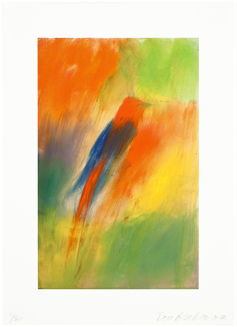 BLECKNER-Ross_Indian Songbird_archival pigment inks on 365 gsm fine art paper_14x9image_18x13paper_ed50