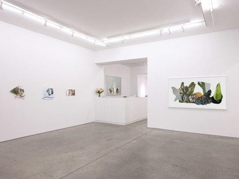 Installation view, Sandi Haber Fifield,&nbsp;The Thing in Front of You, Yancey Richardson Gallery, 2024.