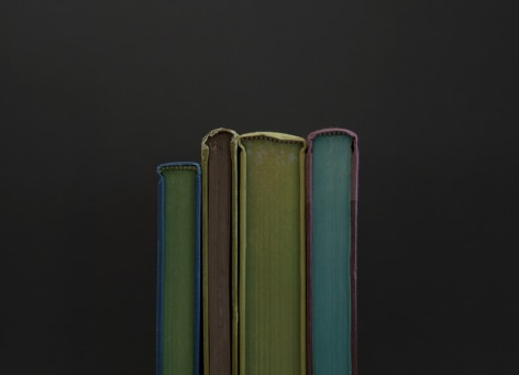 Mary Ellen Bartley,&nbsp;Chartreuse, 2013, from the series Reading November. Archival pigment print, 13 x 18 inches.