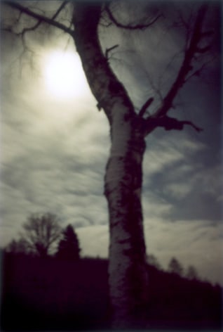 Forest #1, Untitled (Moon Shine), 2000, 10.5 x 7 inch chromogenic&nbsp;print