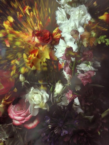 Ori Gersht,&nbsp;Untitled 02&nbsp;from the series&nbsp;Fusing Time, 2022. Archival pigment print, 59 x 44 inches.