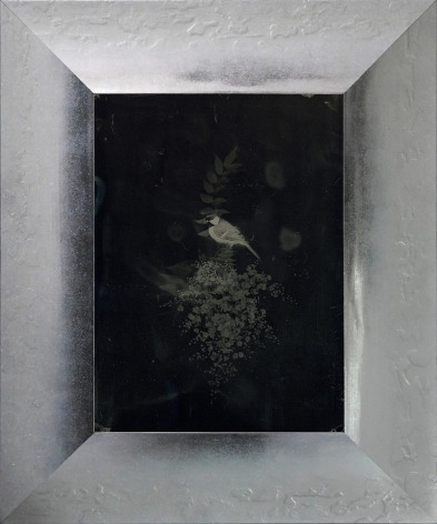 Yamamoto Masao,&nbsp;Untitled (AM #64), 2023. Unique collodion ambrotype,&nbsp;image size: 7 x 5 1/8 inches, frame size: 10 11/16 x 8 7/8 inches.