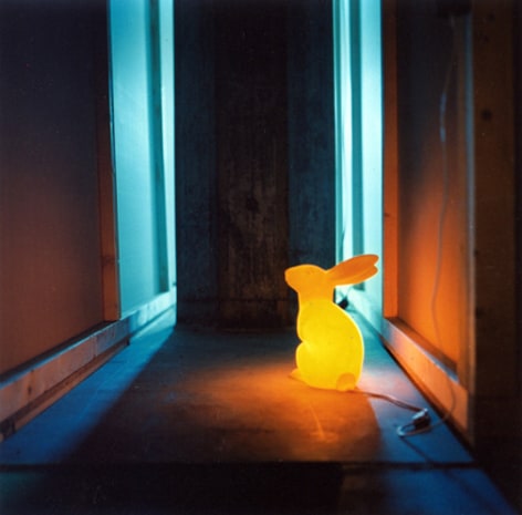 Bunny,&nbsp;2003, chromogenic print, 20 x 20 inches, edition of 10, 50 x 50 inches, edition of 6